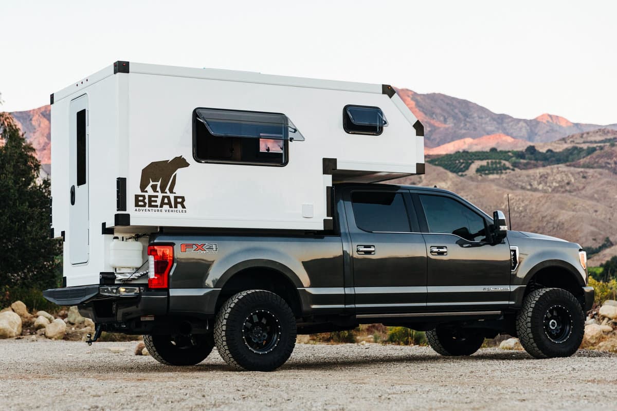 BEAR Brown Bear 6.5